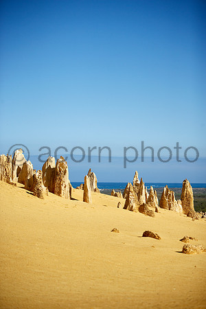 NearNorth060427_008849