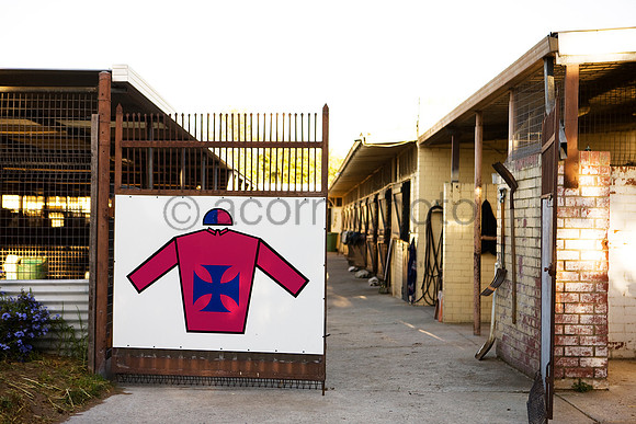 Belmont20100419_5773