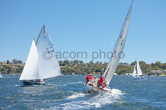 Acorn20081206_51.CR2