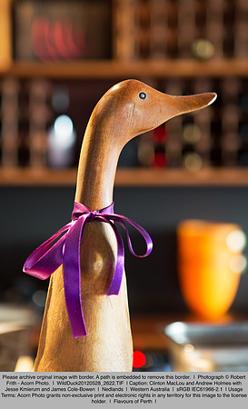 WildDuck20120528_2622