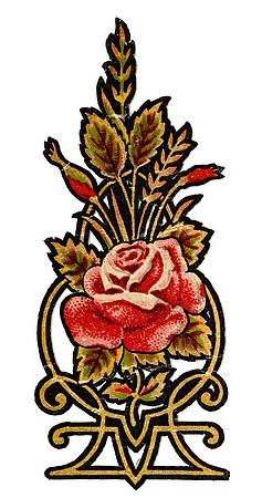 DecoDecal_20210630_0718