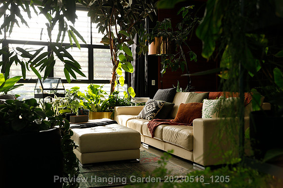 preview_Hanging Garden 20230518_1205