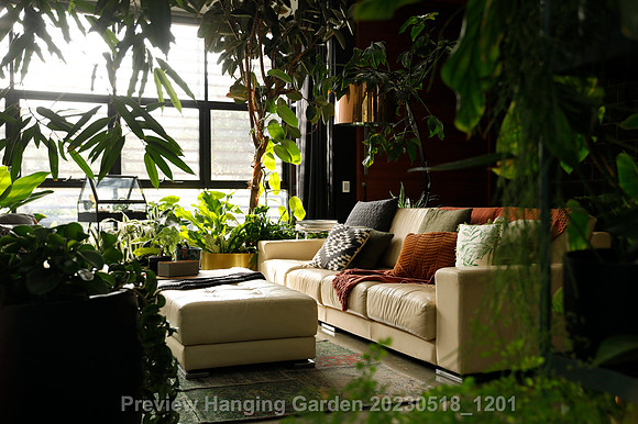 preview_Hanging Garden 20230518_1201