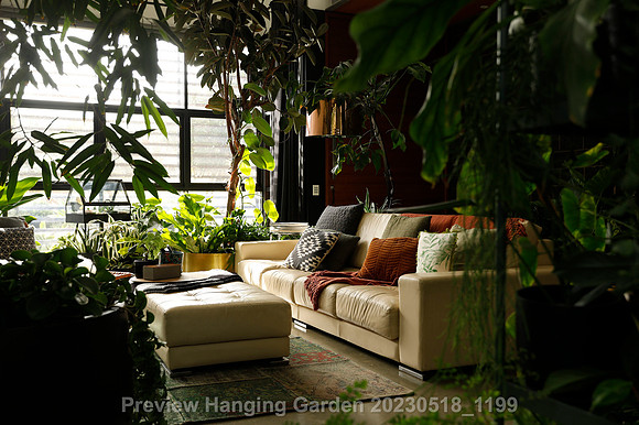 preview_Hanging Garden 20230518_1199