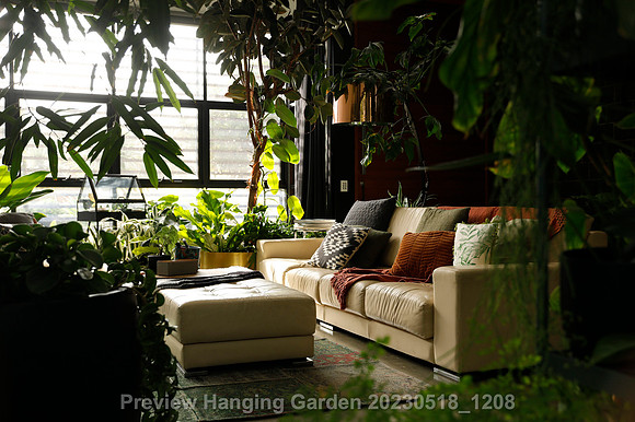 preview_Hanging Garden 20230518_1208