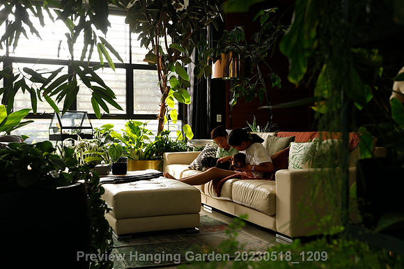preview_Hanging Garden 20230518_1209