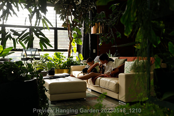 preview_Hanging Garden 20230518_1210