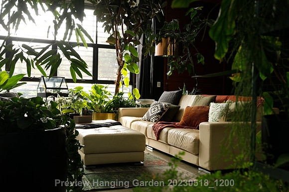 preview_Hanging Garden 20230518_1200