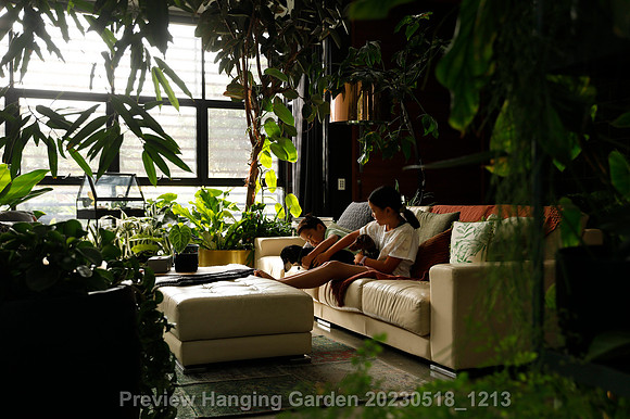 preview_Hanging Garden 20230518_1213