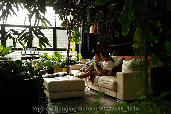 preview_Hanging Garden 20230518_1214