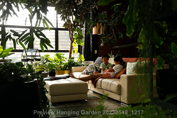 preview_Hanging Garden 20230518_1217