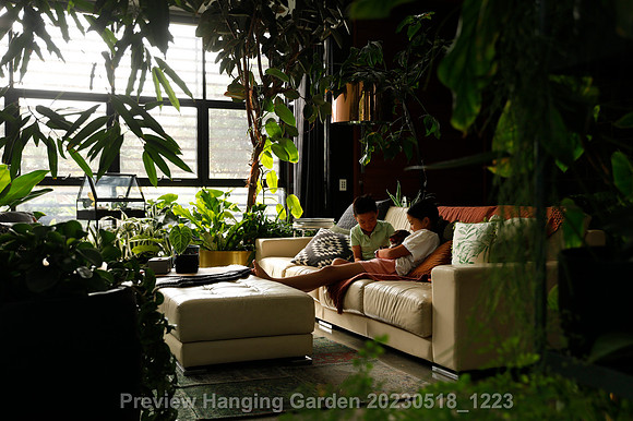 preview_Hanging Garden 20230518_1223