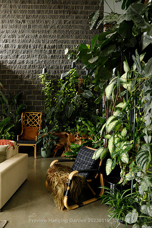preview_Hanging Garden 20230518_1252