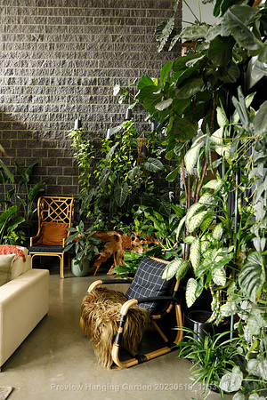 preview_Hanging Garden 20230518_1253