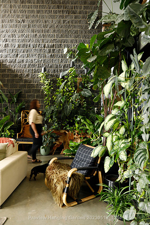preview_Hanging Garden 20230518_1254