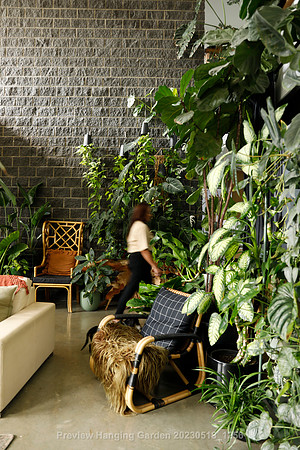 preview_Hanging Garden 20230518_1256