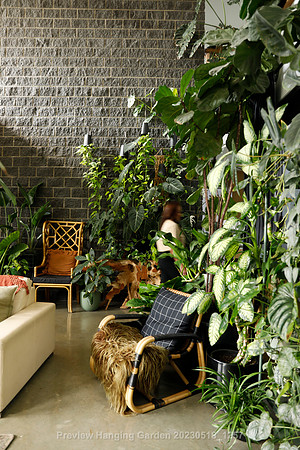 preview_Hanging Garden 20230518_1257