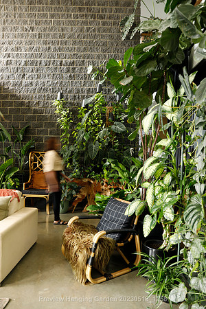 preview_Hanging Garden 20230518_1258