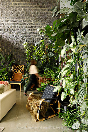 preview_Hanging Garden 20230518_1259