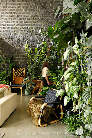preview_Hanging Garden 20230518_1260