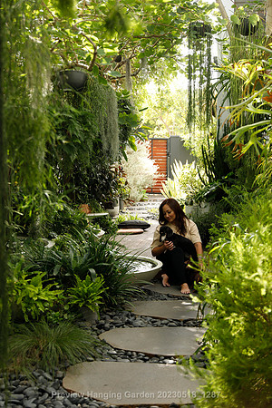 preview_Hanging Garden 20230518_1287