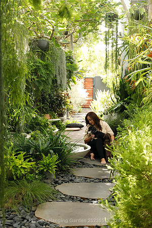 preview_Hanging Garden 20230518_1288
