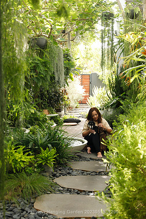 preview_Hanging Garden 20230518_1290