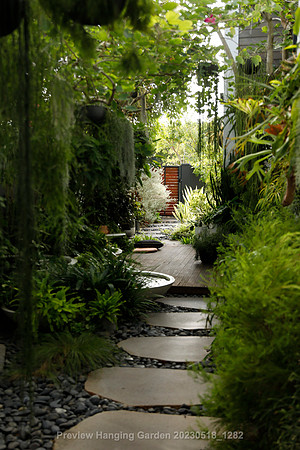 preview_Hanging Garden 20230518_1282