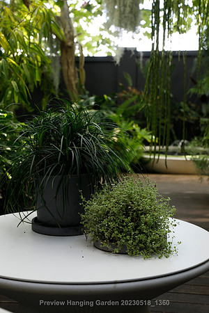 preview_Hanging Garden 20230518_1360