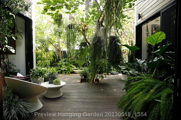 preview_Hanging Garden 20230518_1354