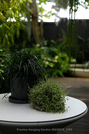 preview_Hanging Garden 20230518_1363