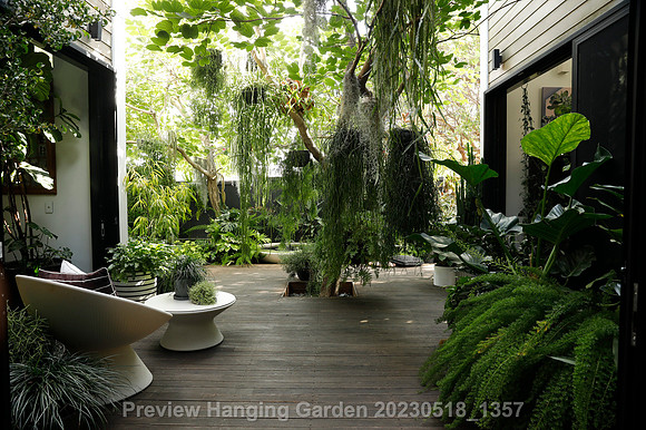 preview_Hanging Garden 20230518_1357