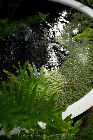 preview_Hanging Garden 20230518_1376