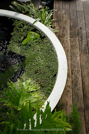 preview_Hanging Garden 20230518_1380