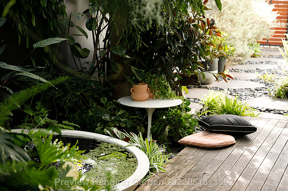 preview_Hanging Garden 20230518_1382
