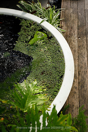 preview_Hanging Garden 20230518_1381