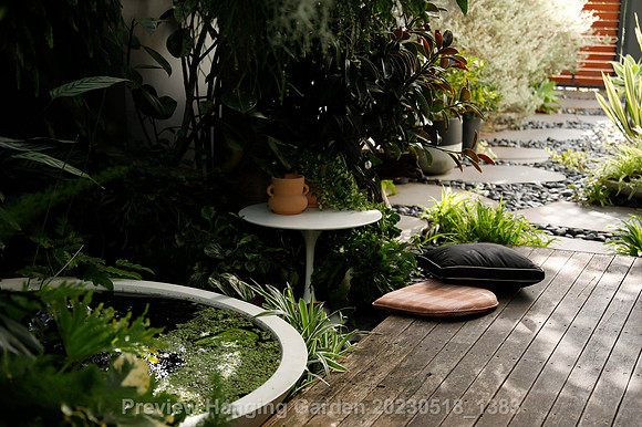 preview_Hanging Garden 20230518_1383