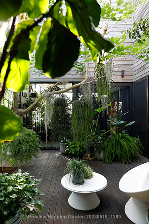 preview_Hanging Garden 20230518_1389