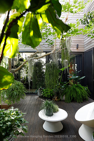 preview_Hanging Garden 20230518_1390
