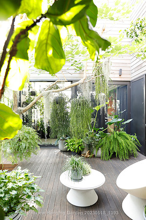 preview_Hanging Garden 20230518_1393