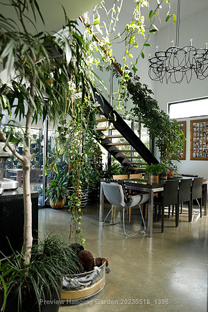 preview_Hanging Garden 20230518_1396