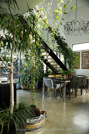 preview_Hanging Garden 20230518_1397