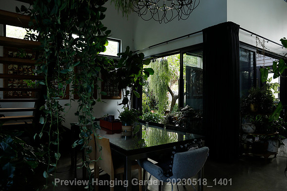 preview_Hanging Garden 20230518_1401