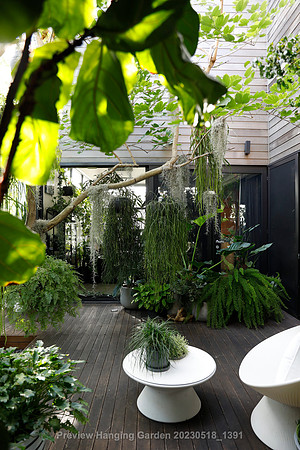 preview_Hanging Garden 20230518_1391