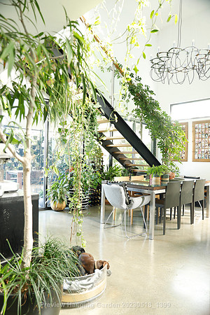 preview_Hanging Garden 20230518_1399