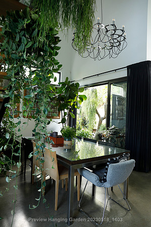 preview_Hanging Garden 20230518_1403
