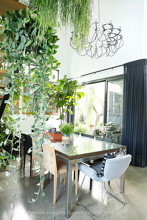 preview_Hanging Garden 20230518_1405