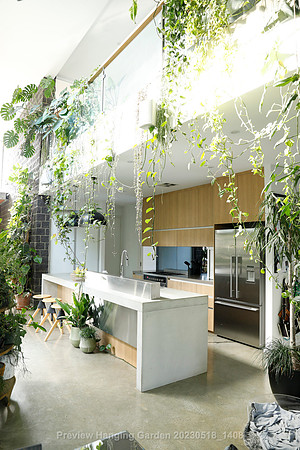 preview_Hanging Garden 20230518_1408