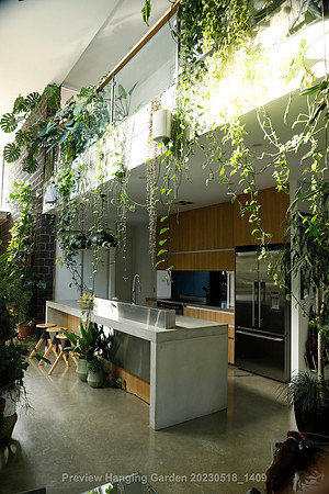 preview_Hanging Garden 20230518_1409