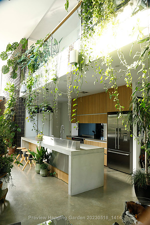 preview_Hanging Garden 20230518_1414